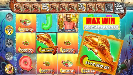 maxwin image 3